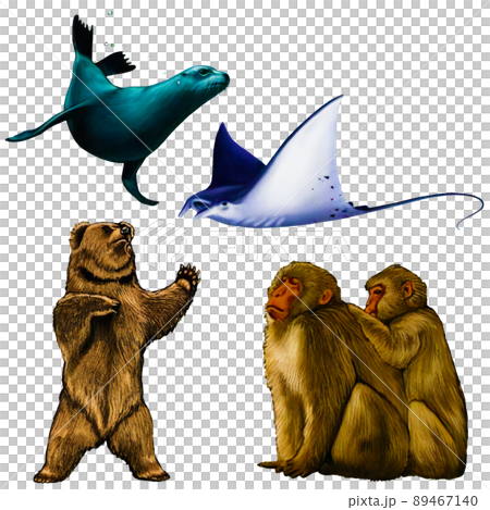 色々な動物 アシカ エイ 熊 猿 のリアルイラストのイラスト素材