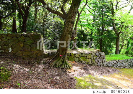 浜田城 続日本100名城 浜田城 続日本100名城 89469018