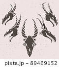 Dragon head skull silhouette medieval dnd  89469152