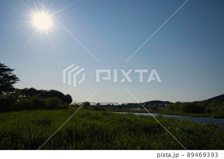 中橋緑地南多目的広場から見る渡良瀬橋 89469393