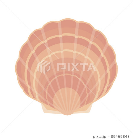 二枚貝 89469843
