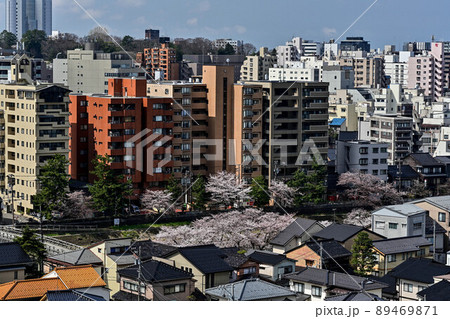 桜咲く金沢の景色 89469871