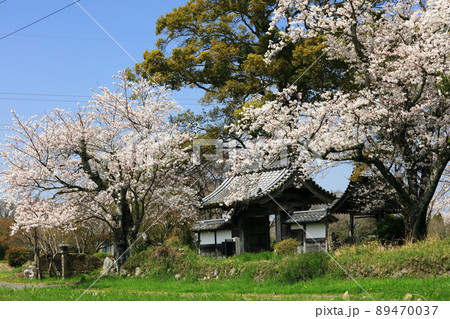 春の丹波国分寺 89470037