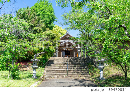 《福岡県》新緑の名島神社　福岡市東区 89470054