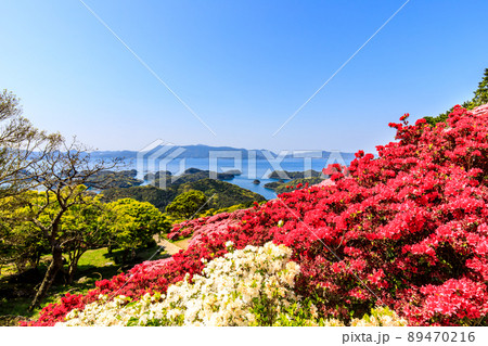 長串山公園のツツジ 九十九島を望む 【長崎県佐世保市鹿町町】 長串山公園のツツジ 九十九島を望む 【長崎県佐世保市鹿町町】 89470216