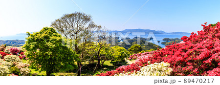 長串山公園のツツジ　九十九島を望む　パノラマ　【長崎県佐世保市鹿町町】 89470217