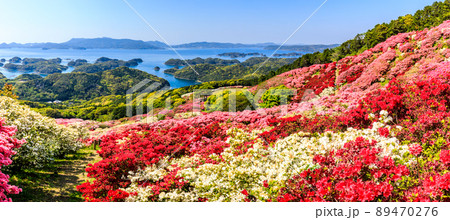 長串山公園のツツジ　九十九島を望む　パノラマ　【長崎県佐世保市鹿町町】 89470276