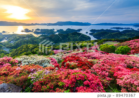 長串山公園のツツジと夕陽 九十九島を望む 【長崎県佐世保市鹿町町】 長串山公園のツツジと夕陽 九十九島を望む 【長崎県佐世保市鹿町町】 89470367