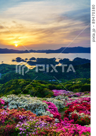 長串山公園のツツジと夕陽 九十九島を望む 【長崎県佐世保市鹿町町】 長串山公園のツツジと夕陽 九十九島を望む 【長崎県佐世保市鹿町町】 89470380