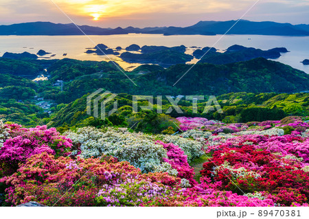 長串山公園のツツジと夕陽 九十九島を望む 【長崎県佐世保市鹿町町】 長串山公園のツツジと夕陽 九十九島を望む 【長崎県佐世保市鹿町町】 89470381