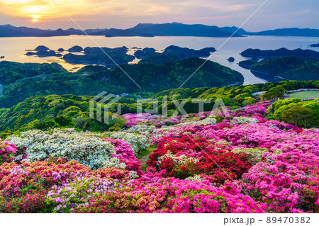 長串山公園のツツジと夕陽 九十九島を望む 【長崎県佐世保市鹿町町】 長串山公園のツツジと夕陽 九十九島を望む 【長崎県佐世保市鹿町町】 89470382