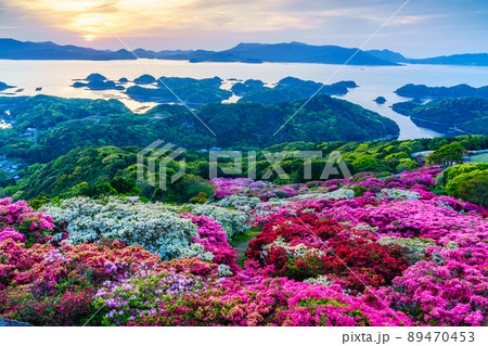 長串山公園のツツジと日没後 九十九島を望む 【長崎県佐世保市鹿町町】 長串山公園のツツジと日没後 九十九島を望む 【長崎県佐世保市鹿町町】 89470453