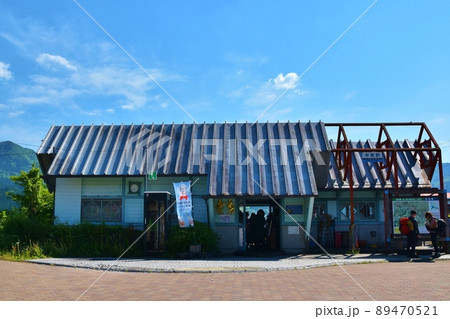 春の中松駅　熊本 89470521