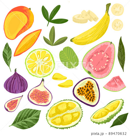 Set of exotic fruits, mango banana jackfruit guava 89470632