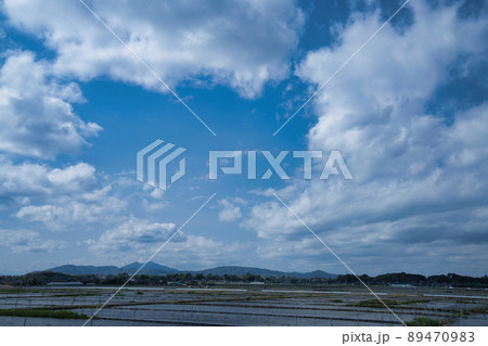 日本一生産量が多いレンコン 日本一生産量が多いレンコン 89470983