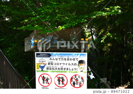 等々力渓谷の景色 等々力渓谷の景色 89471022