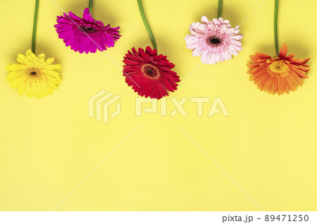 Bouquet of gerberas on yellow background Top view Flat lay Holiday greeting card Happy moter's day, 8 March, Valentine's day, Easter concept Copy space Mock up. Bouquet of gerberas on yellow background Top view Flat lay Holiday greeting card Happy moter's day, 8 March, Valentine's day, Easter concept Copy space Mock up. 89471250