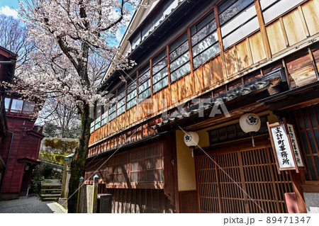 桜咲く主計町茶屋街 桜咲く主計町茶屋街 89471347
