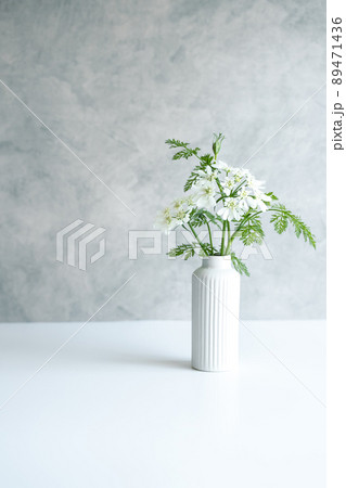 オルレア　白い花の写真素材 89471436