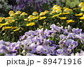 花 89471916