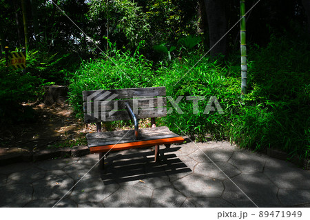 西郷山公園の景色 西郷山公園の景色 89471949