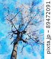 Digital watercolor painting of tree with flowers in spring 89472091