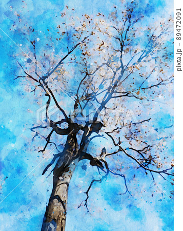 Digital watercolor painting of tree with flowers in spring 89472091