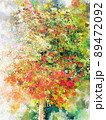 Digital oil painting of maple tree 89472092
