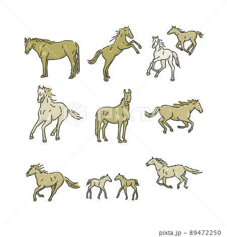 Horses Vector & Graphics to Download