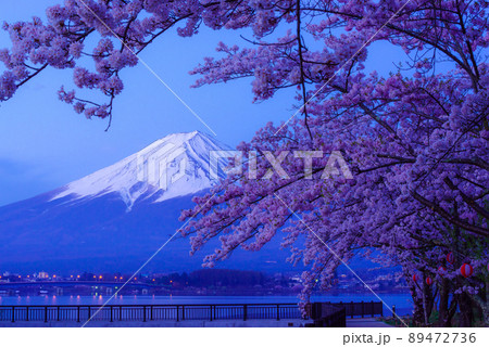 夜明けを待つ富士山と桜 89472736