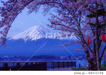 夜明けを待つ富士山と桜 夜明けを待つ富士山と桜 89472748