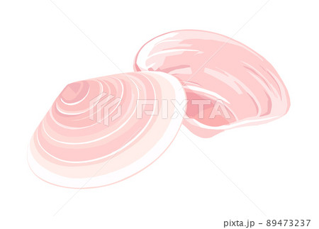 桜貝 桜貝 89473237