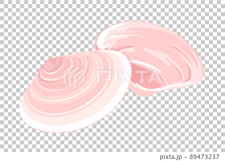 桜貝 桜貝 89473237