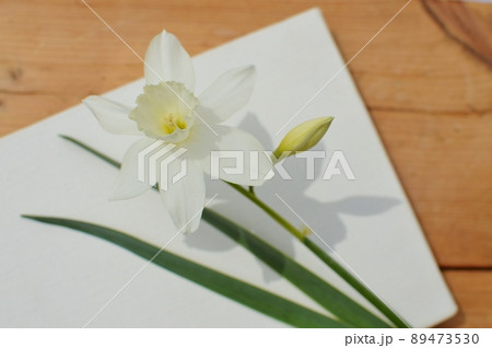 白い雫水仙の花とつぼみとキャンバス　 89473530