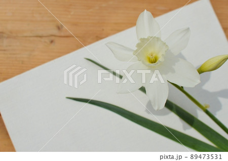 白い雫水仙の花とつぼみとキャンバス　 89473531