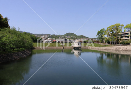 ニテコ池から見る甲山 89473947
