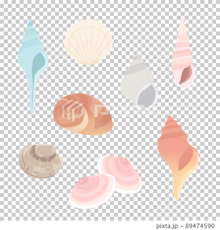 色々な貝殻 89474590