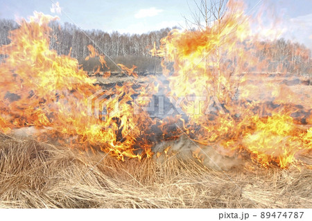 A firefighter in a field extinguishes a fire with water A firefighter in a field extinguishes a fire with water 89474787