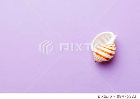 Summer time concept Flat lay composition with beautiful starfish and sea shells on colored table, top view with copy space for text 89475522