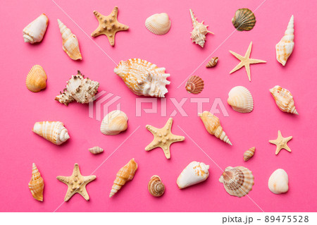 Summer time concept Flat lay composition with beautiful starfish and sea shells on colored table, top view Summer time concept Flat lay composition with beautiful starfish and sea shells on colored table, top view 89475528