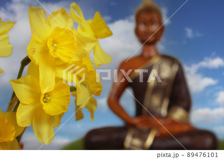 Yellow Daffodils With Buddha Statue in Background Yellow Daffodils With Buddha Statue in Background 89476101