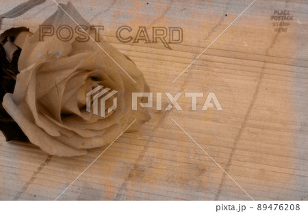 Rose Vintage Grunge Style Postcard With Rose on Bamboo 89476208