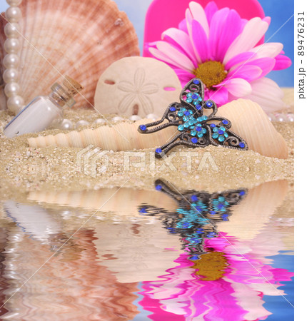 Sea Shells With Flower and Jewelry on Sandy Beach Sea Shells With Flower and Jewelry on Sandy Beach 89476231