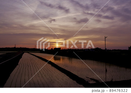 水田の夕陽(茨城県つくば市) 水田の夕陽(茨城県つくば市) 89476322