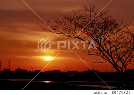 水田の夕陽（茨城県つくば市） 89476325
