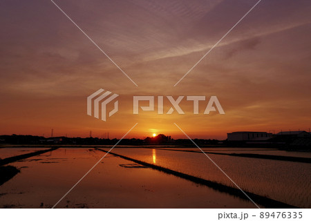 水田の夕陽(茨城県つくば市) 水田の夕陽(茨城県つくば市) 89476335