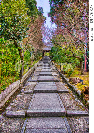 高台寺 2022年2月 89476827