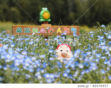 ネモフィラの花畑（花高展望花の丘） 89476937