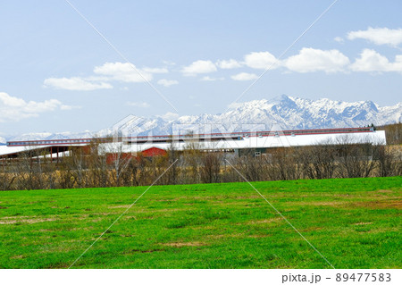 富良野の春の雪山と草原 89477583