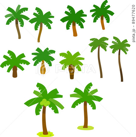 ヤシの木のイラストセット ヤシの木のイラストセット 89477620